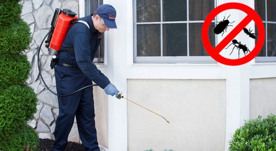 Naldöken Hamam Böceği İlaçlama böcek ilaçlama ve haşere kontrolü — ilaclama-tr.com